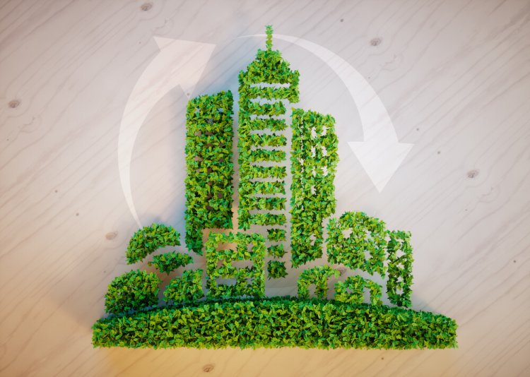 8 Green Construction Trends Changing the Industry